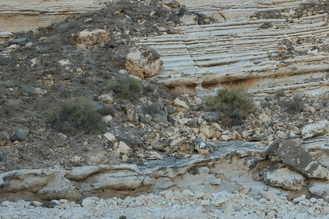 Salalah Secret Beach Tour with Dinner and Snacks