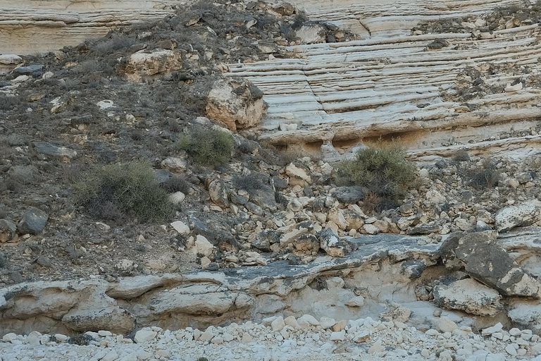 Salalah Secret Beach Tour with Dinner and Snacks