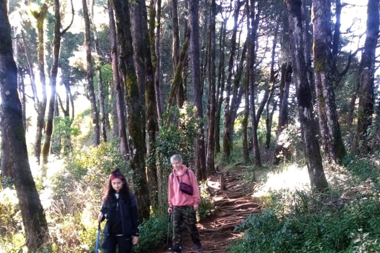 De Yogyakarta: Excursão de trekking ao nascer do sol no Monte Prau