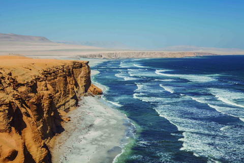 From Paracas: Ballestas Islands and Paracas National Reserve Ballestas Islands tour only
