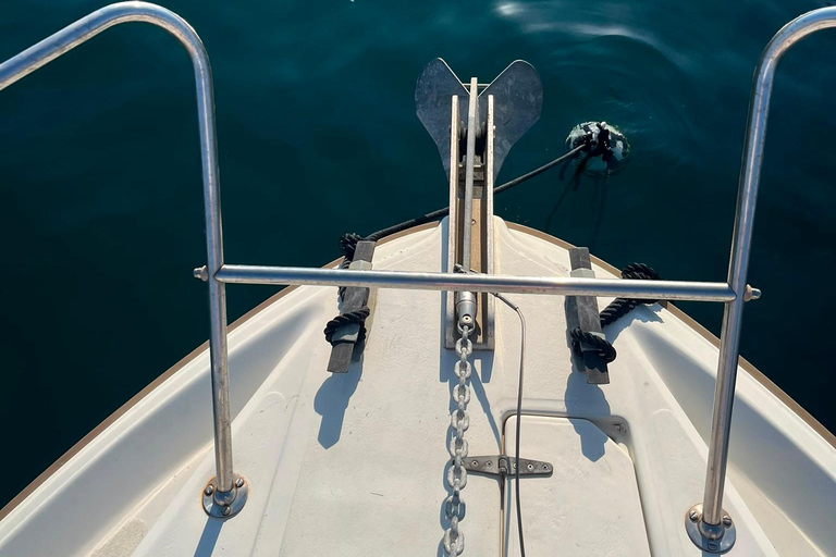 Catania: Sunset Boat Excursion to Acitrezza + Dolphin Watching