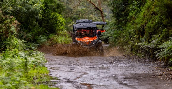 Madeira: Off-Road Buggy Adventure Through Laurissilva Forest