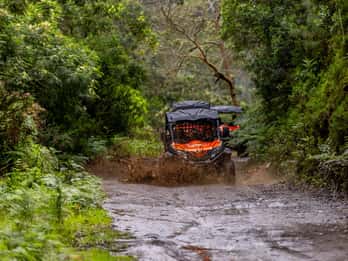 Madeira: OFF-ROAD BUGGY ADVENTURE TO FUNDURAS