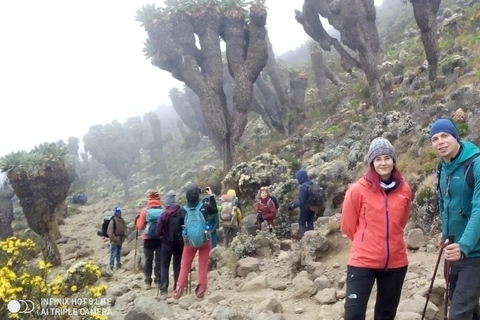Kilimanjaro: 6-Day Machame Route Trekking Adventure