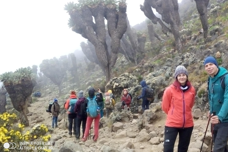 Kilimanjaro: 6-Day Machame Route Trekking Adventure