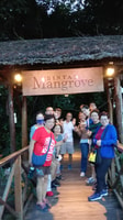 Bintan , Mangrove tour & Fireflies tour - Housity