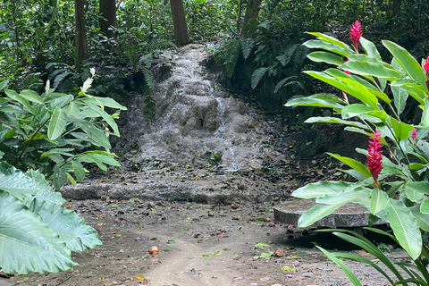 Cartagena: Guided Experience in the Botanical Garden