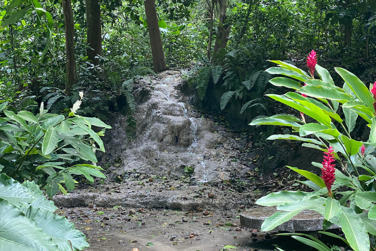 Cartagena: Guided Experience in the Botanical Garden