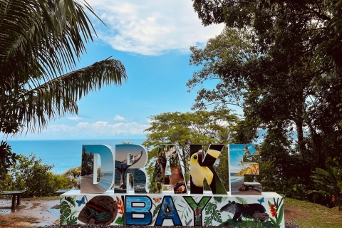 Drake Bay: Ontdek Drake Bay als een lokale strandwandeling met gids