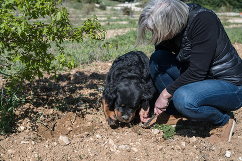 Descubre las trufas de la granja al tenedorDescubre el mundo secreto de las trufas