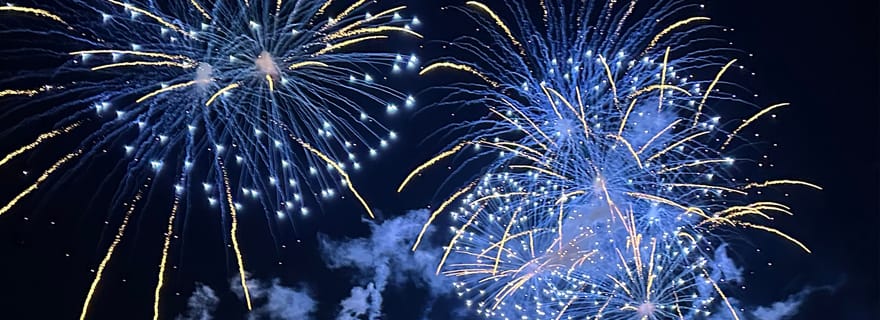 Lisbonne : croisière en catamaran avec feux d'artifice du Nouvel An, nourriture et boissons