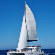 Denia: Katamaranfahrt zur Cova Tallada mit Muschelverkostung und Wein
