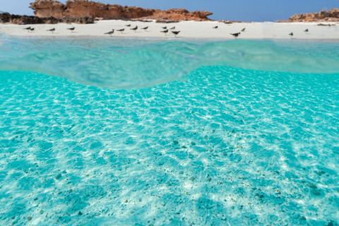 Muscat: Unforgettable Private Daymaniyat Boat Experience