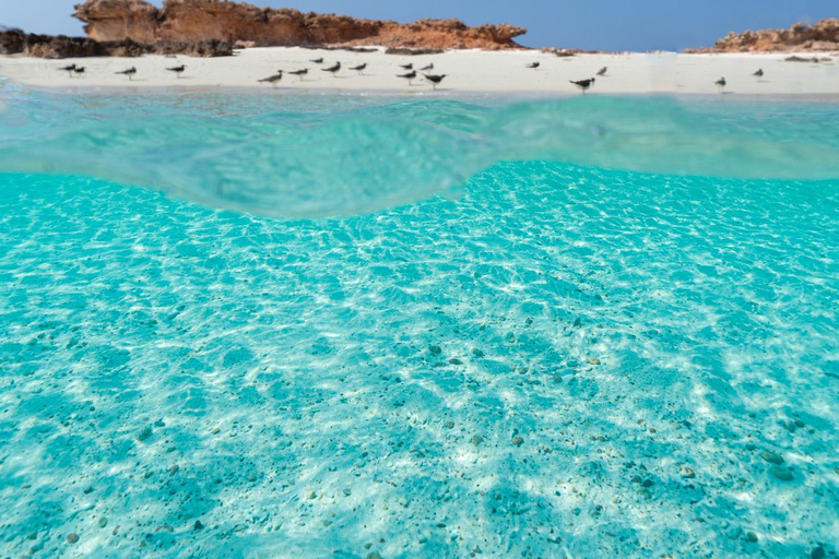 Muscat: Unforgettable Private Daymaniyat Boat Experience
