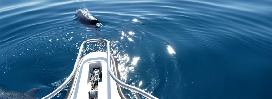 Bazaruto et Two Mille Reef : excursion d'une journée au départ de Vilanculos