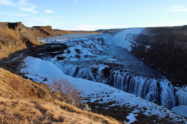 De Reykjavík: visite du Cercle d'or et de la ferme laitière