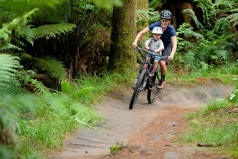 Chambery: Electric Mountain Bike rentalChambéry: wypożyczalnia elektrycznych rowerów górskich