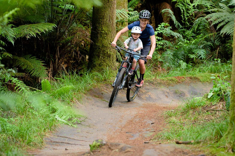 Chambéry : Electric Mountain Bike rentalChambéry : Alquiler de bicicletas eléctricas de montaña