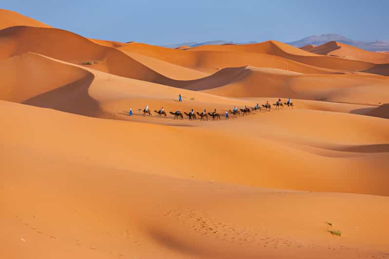 Merzouga : 2 nuits de randonnée chamelière dans le désert de l'Erg Chebbi - dromadaire