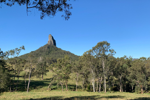 Glass House Mountains & Rainforest Day Tour from Brisbane