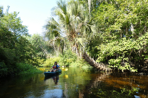 Orlando : Visite en petit groupe en kayak sur la rivière Wekiva