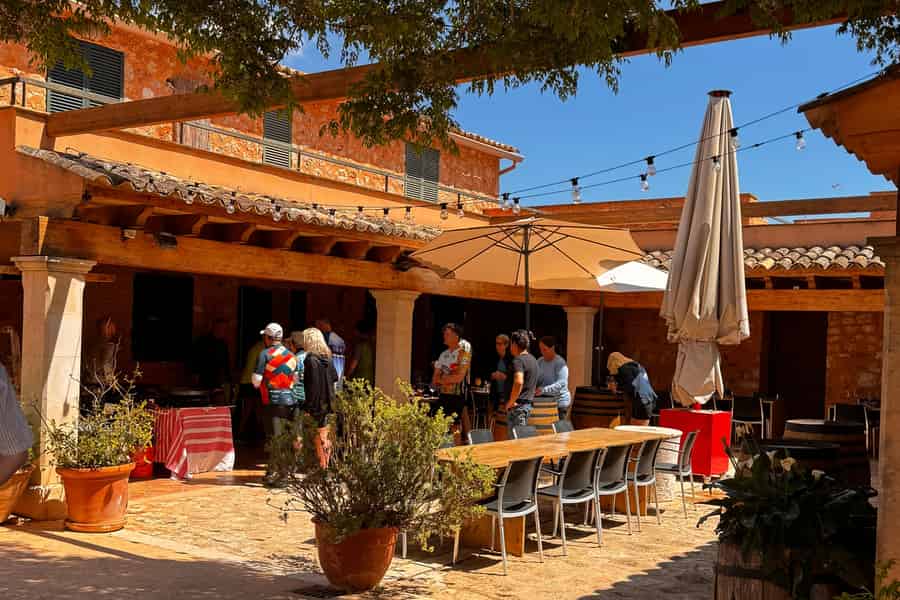 Mallorquinisches Familienweingut: authentische Weinprobe. Foto: GetYourGuide