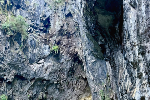 Guangzhou Day Tour: Qingyuan Glass Bridge, Underground River Gulong Gorge 1-Day Private Tour