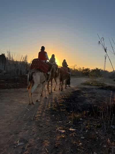 Taghazout : balade à dos de chameau, thé à la menthe et ferme - dromadaire