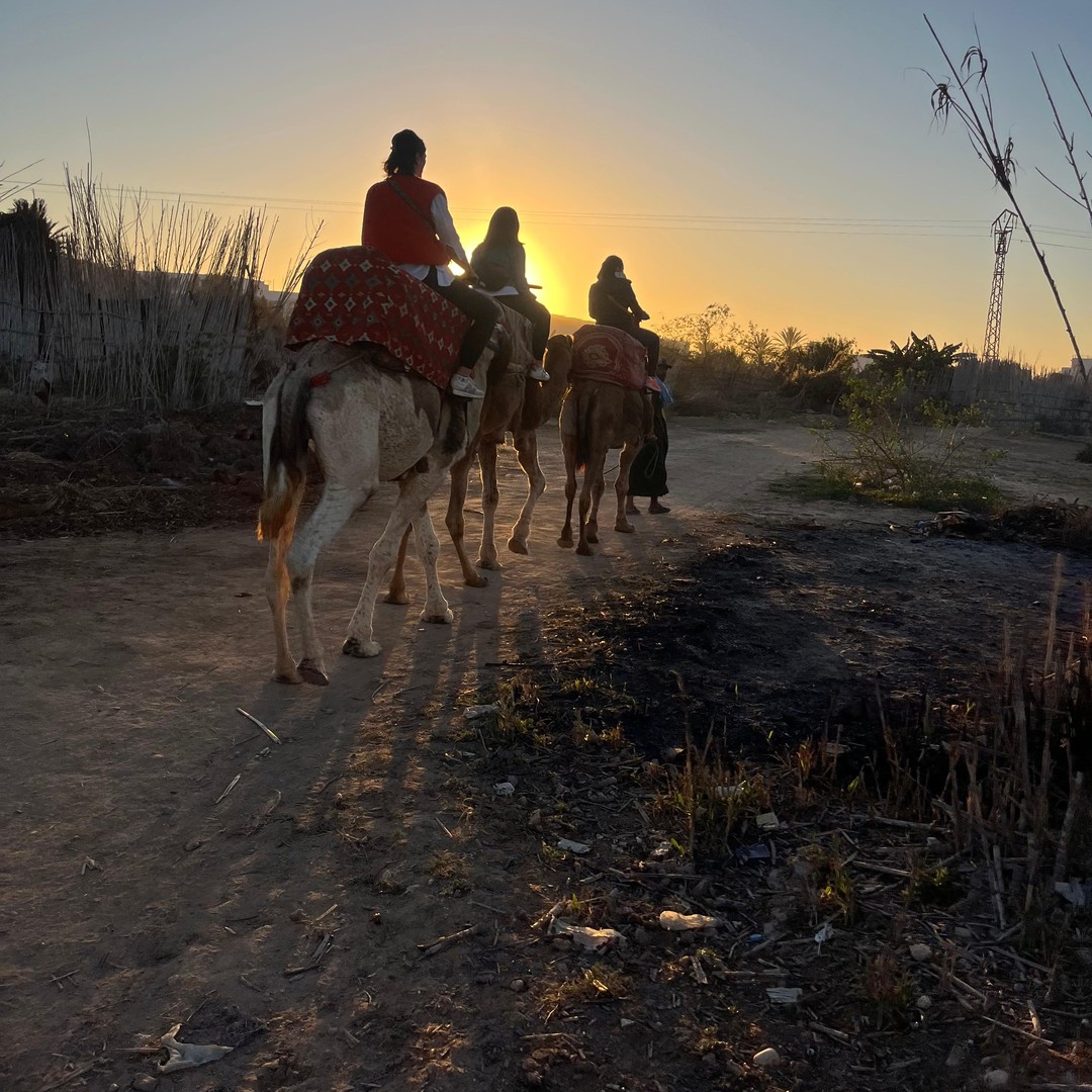 Taghazout : balade à dos de chameau, thé à la menthe et ferme - dromadaire