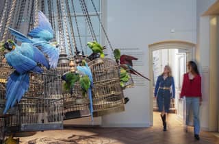 Amsterdam: Eintrittskarte für das Art Zoo Museum in einem Kanalhaus