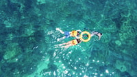 Phuket, Maya, Phi Phi, and Bamboo Island with Buffet Lunch - Housity