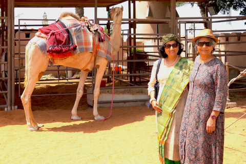 Abu Dhabi: tour a piedi all&#039;interno dell&#039;Heritage VillageTour a piedi all&#039;interno dell&#039;Heritage Village