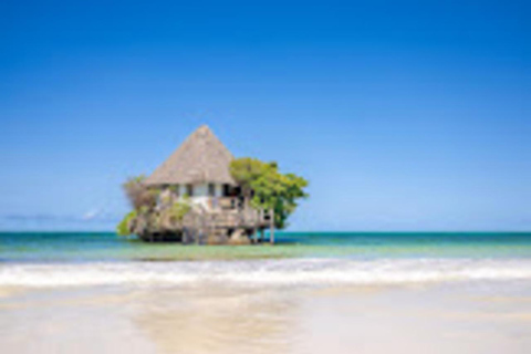 Jozani Forest, Kizimkazi Delphine Tour und der Felsen