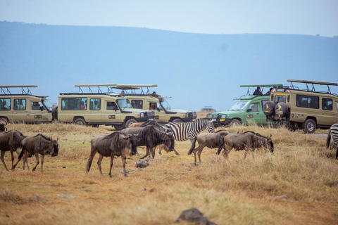 Arusha: 4-Day Mid-Range Safari to Tarangire and Ngorongoro