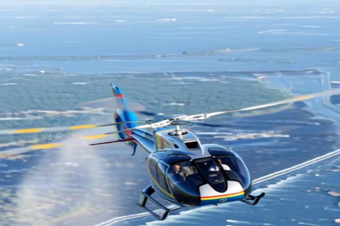 Niagara Falls: Helicopter Ride