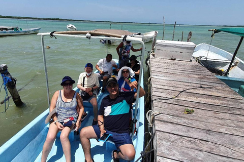 Wycieczka do Ría Lagartos, Coloradas i Playa CancúnitoMerida: Wycieczka na plażę Ria Lagartos, Coloradas i Cancunito