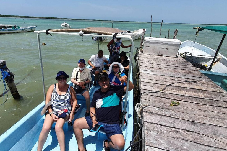 Excursión a Ría Lagartos, Coloradas y Playa CancúnitoMérida: Excursión a Ría Lagartos, Coloradas y Playa de Cancunito