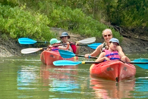 Charleston: Folly River Sunset Kayak Dolphin Safari Single Sit-On Kayak