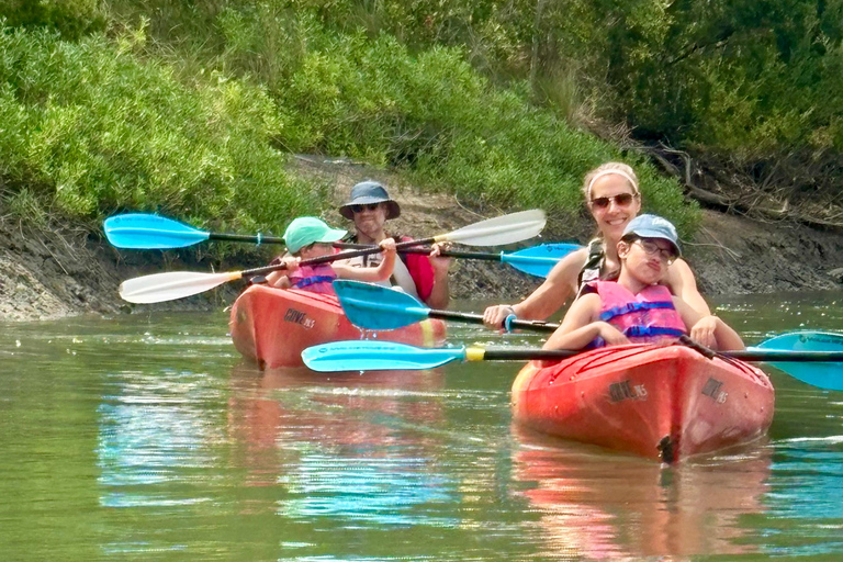 Charleston: Folly River Sunset Kayak Dolphin Safari Single Sit-On Kayak