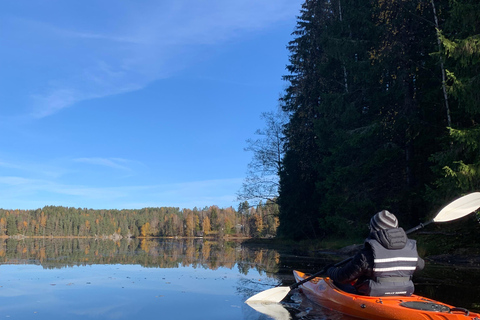 Oslo: Guided Kayak Tour on Lake Langen with Lunch