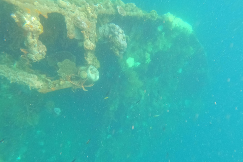 RÉCIF ET ÉPAVE - WWII JAPONAIS ET JARDIN DE CORAIL SNORKELING