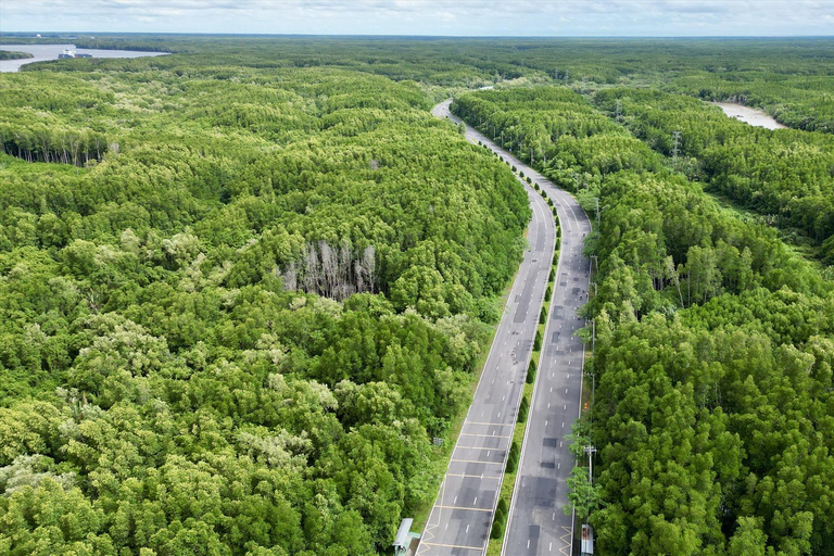 Depuis Ho Chi Minh : Excursion d&#039;une journée à la mangrove de Can Gio et à l&#039;île aux singes