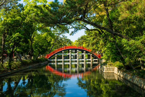 Excursión de un día a Osaka, Nara y Kioto con conductor de habla hispana