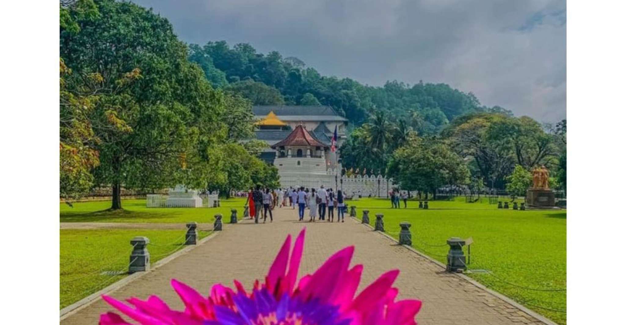 Kandy nach Ambulowawa Tuk Tuk Tour , von lokalen Scenic Heights - Hizvo