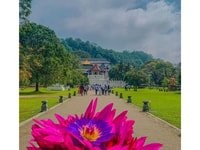 Kandy a Ambuluwawa Tuk Tuk Tour , por las Alturas Escénicas Locales - Hizvo