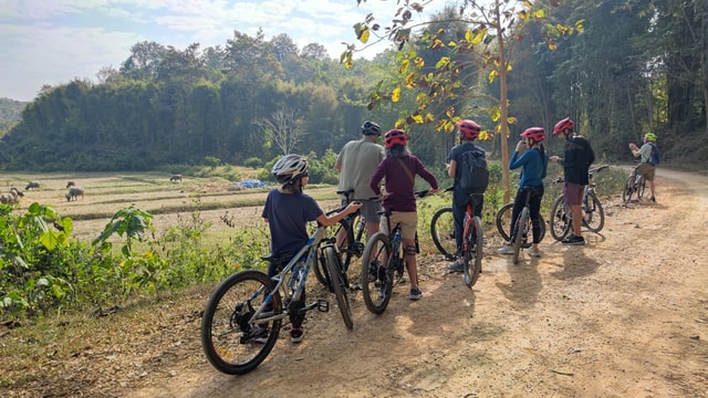 Chiang Rai : Half day cycling countryside to White Temple