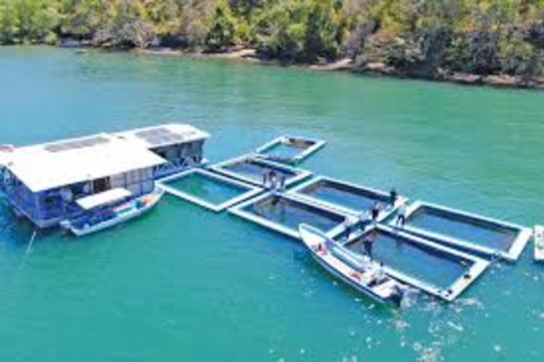 Seafood Gastronomic Tour to the Floating Restaurant of Puntarenas by boat