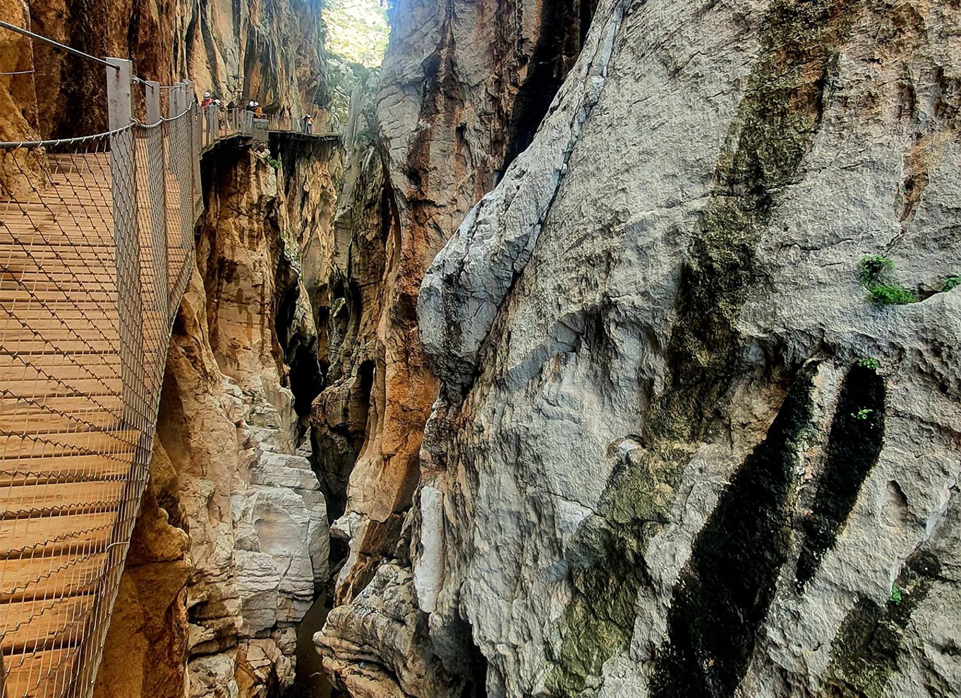 Málaga: Caminito del Rey guidet tur med transport