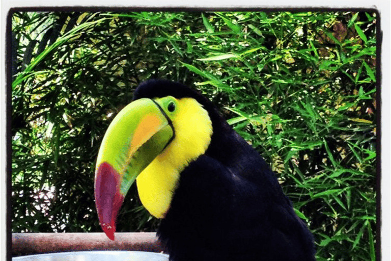 Quito: Zoo Tour with Transportation and Admission or Ticket