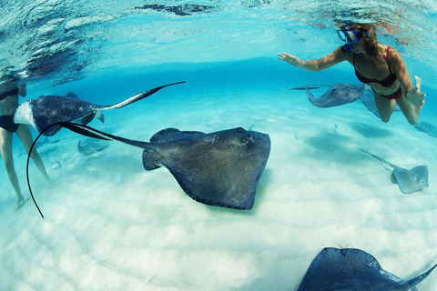 From Riviera Maya: Xcaret Plus Park, the complete experience From Riviera Maya: Xcaret Plus Park, the full experience